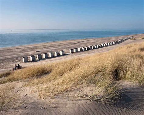 dutch beach porn|'dutch beach porn' Search .